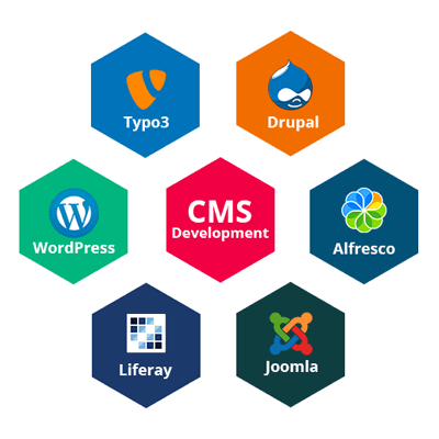 cms web development